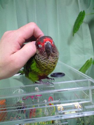 20120501114203.jpg