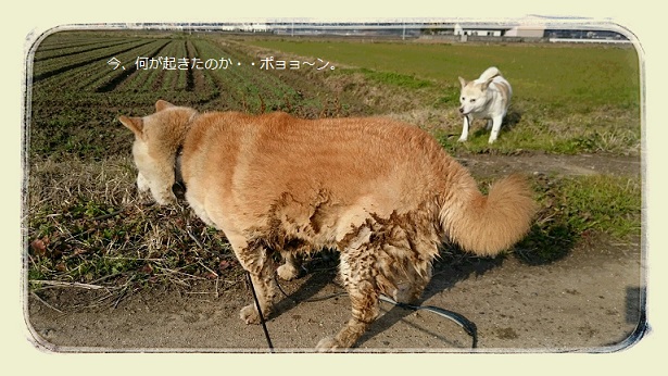 DSC_0125~2.jpg
