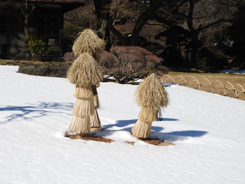 小石川後楽園にて