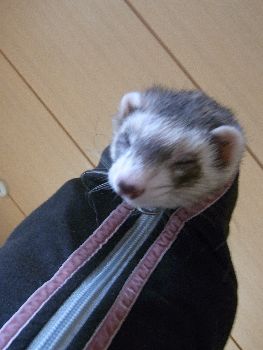 ちょっと恐い？