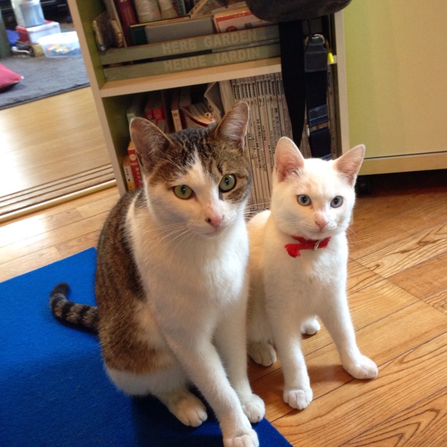 rblog-20121229231915-01.jpg