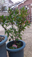 rblog-20130402065257-00.png