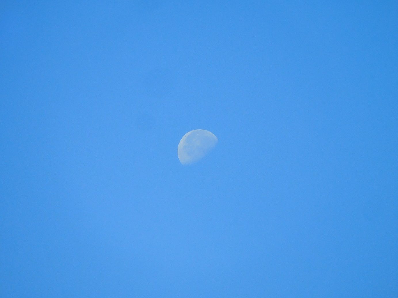 雲一つない青空に白い月 ｔｅａ ｇａｒｄｅｎ ちょっとひとりごと 楽天ブログ