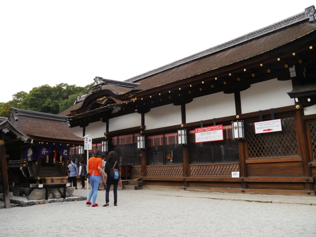 P1090090.JPG