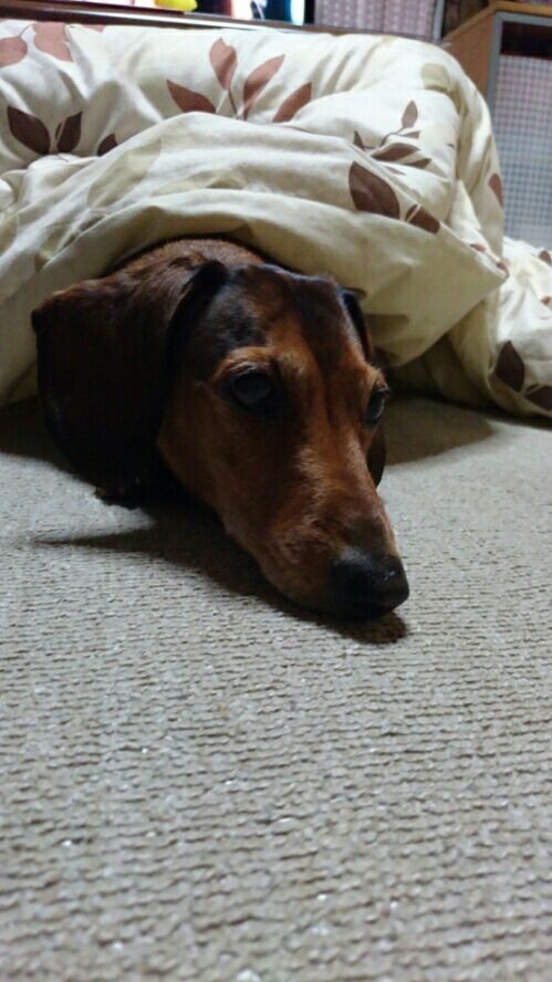 rblog-20170113195741-03.jpg