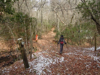 DSCN6354s.jpg