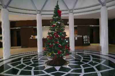 エントランスツリー