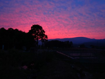 夕焼け130609