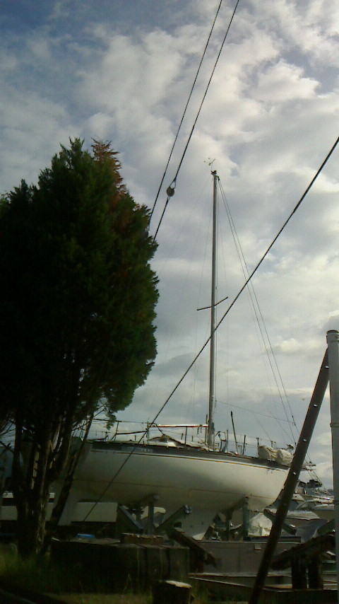 NEC_0017.JPG
