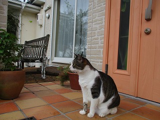 IMG_9941ss.jpg