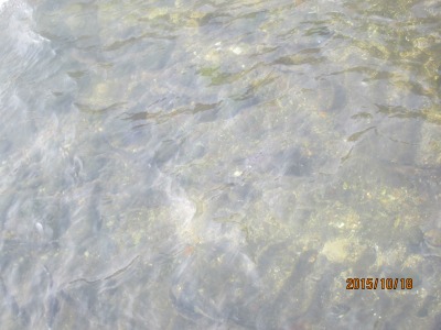 IMG_3168.jpg