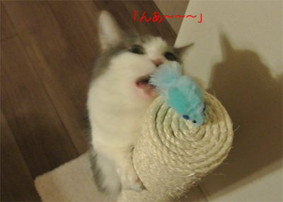 mumu11.jpg