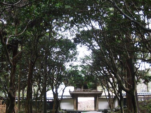 P1011101 - コピー.JPG