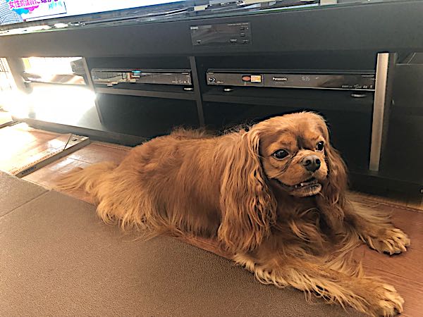 rblog-20180729175440-04.jpg