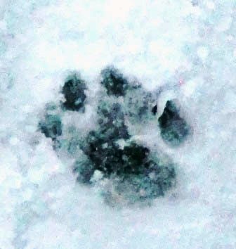 006fdfdd のコピー.jpg