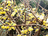 rblog-20140127222606-00.png