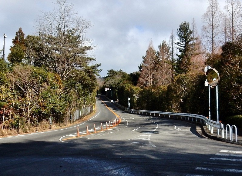 植物園への道 7.JPG
