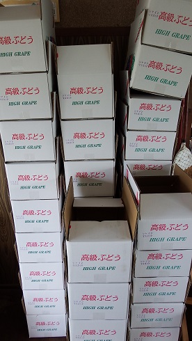 DSCF9375.JPG