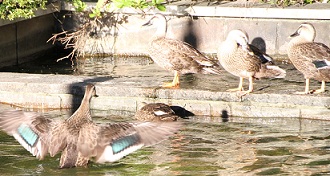 E7D_7149-2.jpg