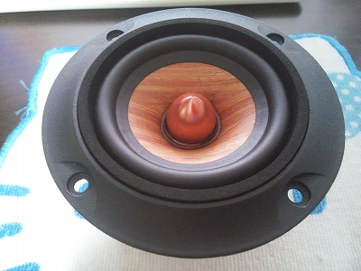 PARC Audio　DCU-F101W2　前面