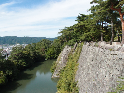 上野城2015_08d石垣去年