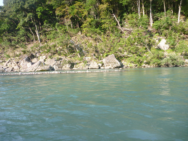 resize0054.jpg