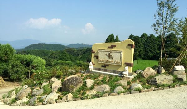 rblog-20160810190326-06.jpg