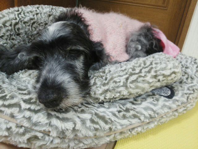 rblog-20141217192825-00.jpg
