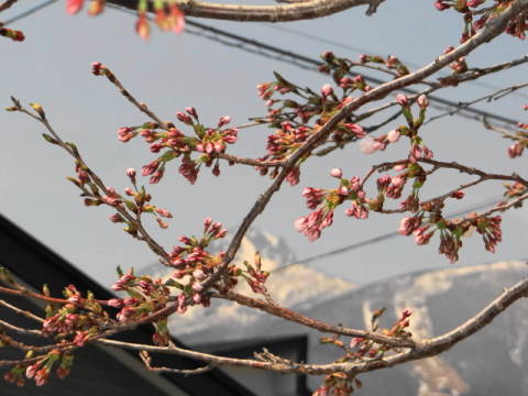 DSC02710.JPG
