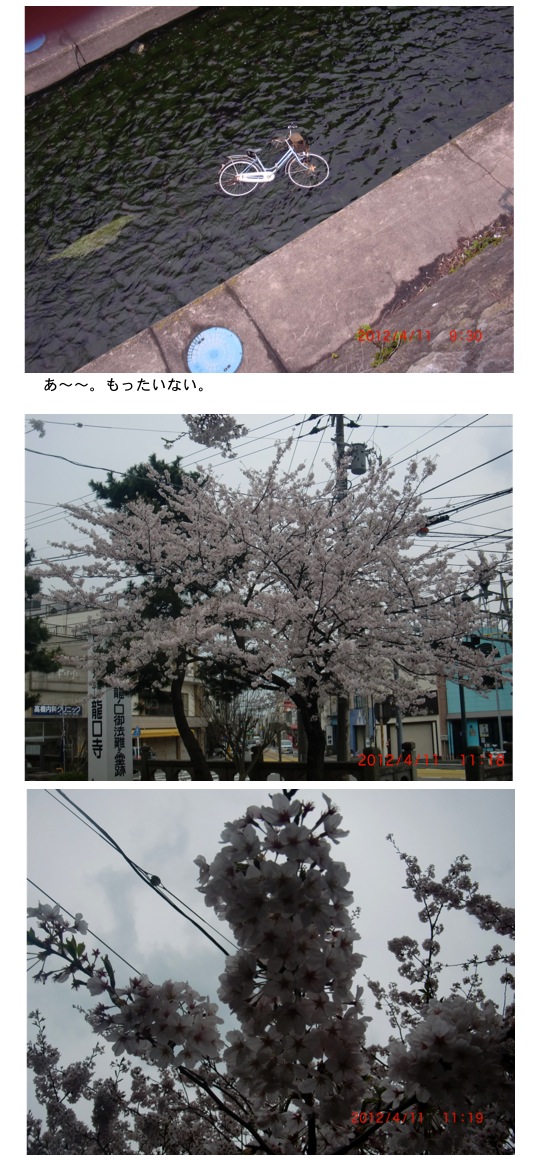 2012.04.14-3.jpg