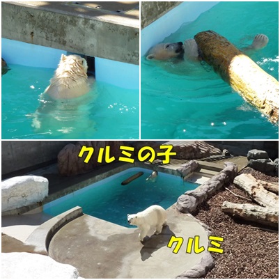 男鹿水族館ＧＡＯ