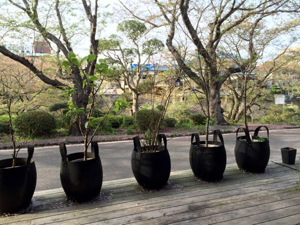 rblog-20160409215904-03.jpg