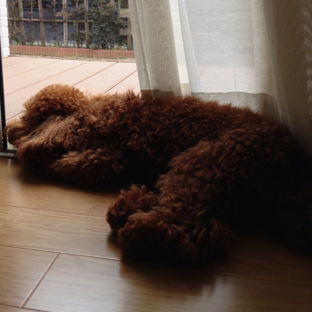 rblog-20130531164512-01.jpg