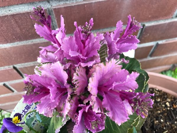rblog-20170329182349-02.jpg