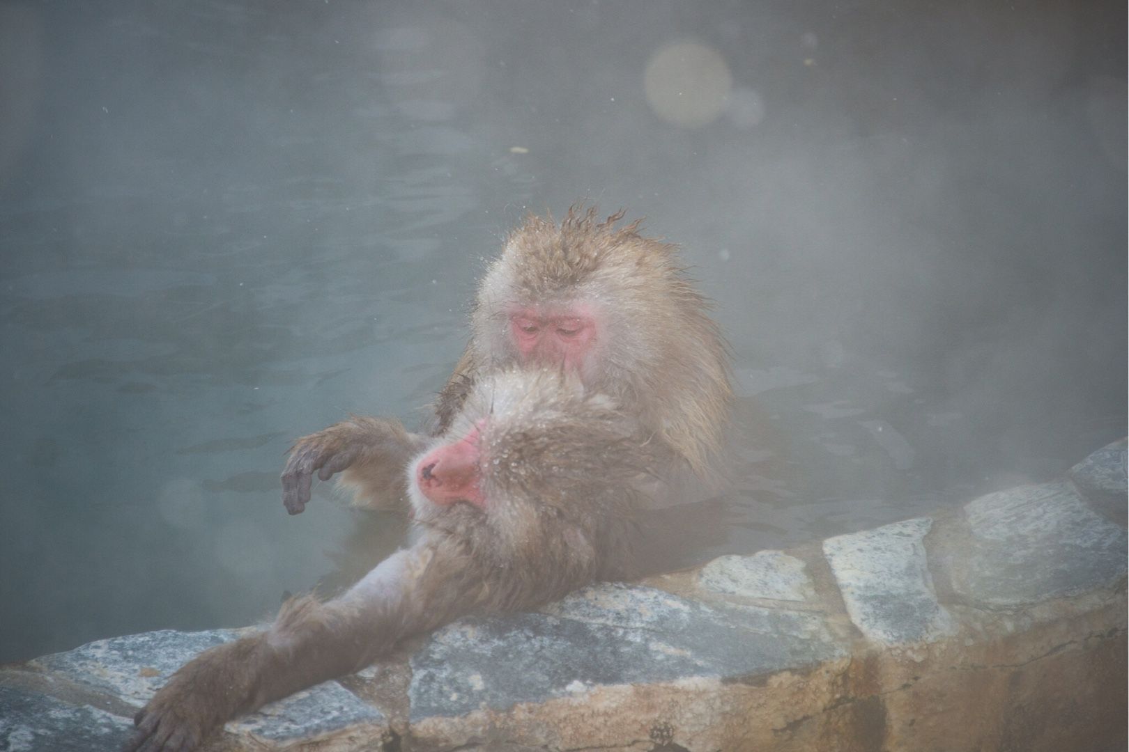 ニコンカレッジ札幌校 函館市熱帯植物園 Brightness Taking Photos Of Everyday Life 楽天ブログ