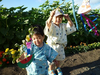 P1070551.jpg