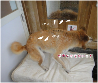 1021ゆらら4.jpg