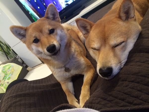 rblog-20151211165120-02.jpg