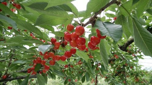 rblog-20180627211558-01.jpg