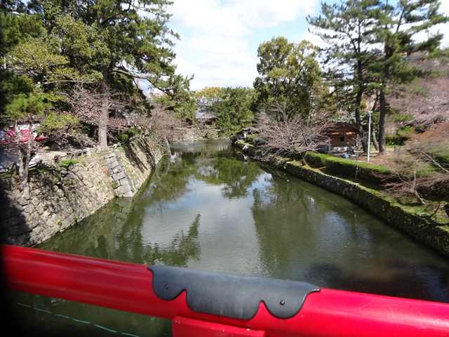 DSC01203_R.JPG