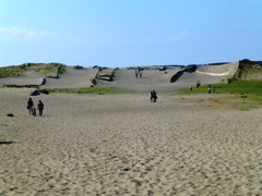 P1000642.JPG