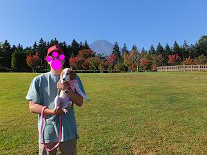 20140929紅葉
