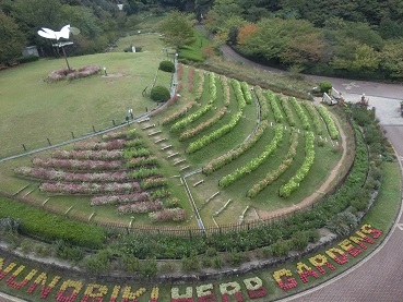 神戸布引ハーブ園 その1 | ダラの庭ノート - 楽天ブログ