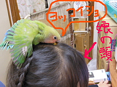 conv0440.JPG