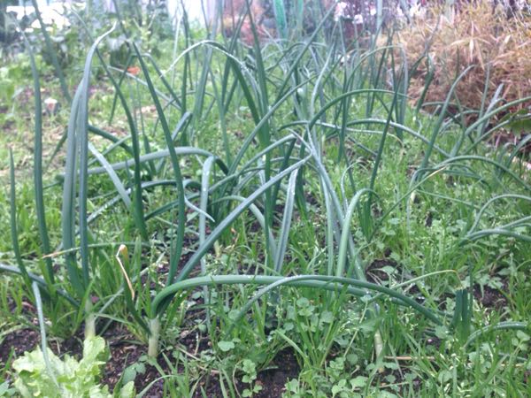 rblog-20170322000718-01.jpg