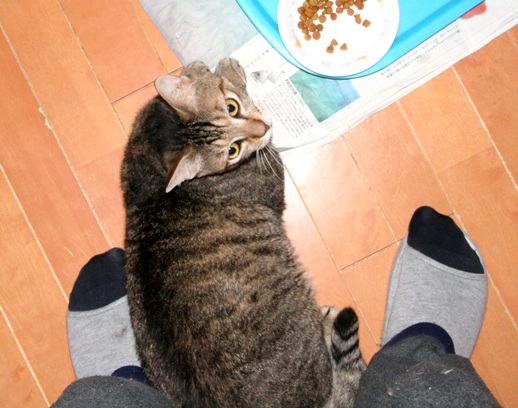 20160105ﾙﾅ02.jpg