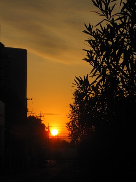 IMG_0682.JPG