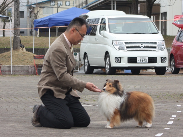 IMG_1322 - コピー.JPG