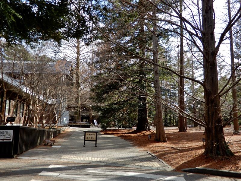 展示館前広場3