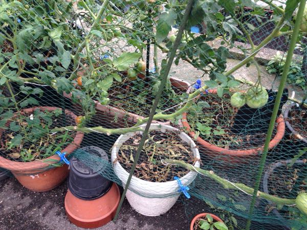 rblog-20160717214645-07.jpg